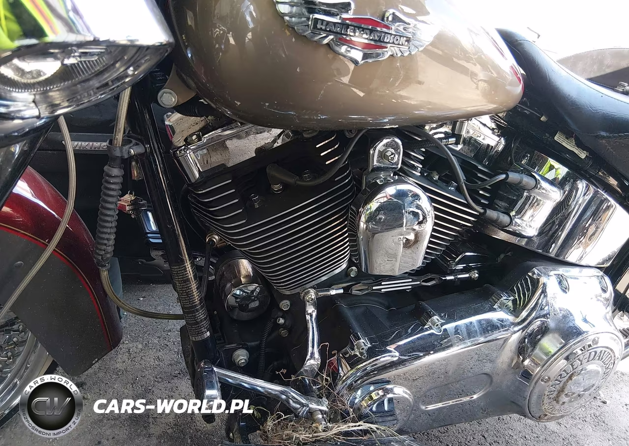 2009 Harley-Davidson Flstn VIN:1HD1JD51X9Y048189 - 9