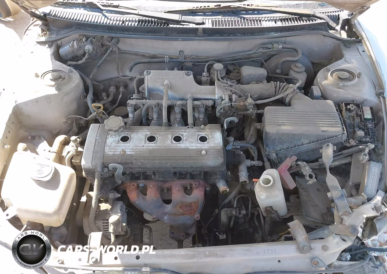1997 Toyota Corolla Std VIN:1NXBA02EXVZ585602 - 10