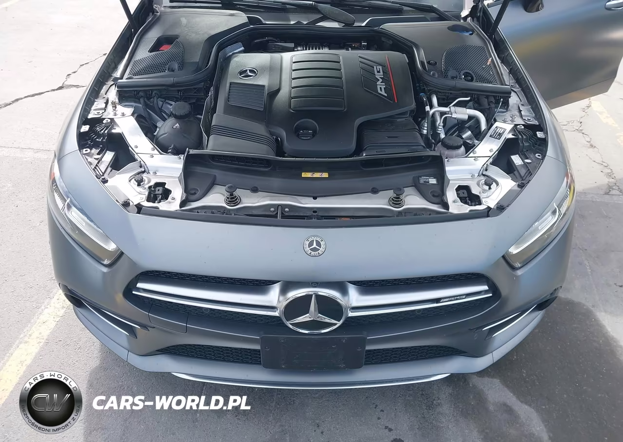 2020 Mercedes-Benz Amg Cls 53 4Matic VIN:WDD2J6BB2LA049387 - 10