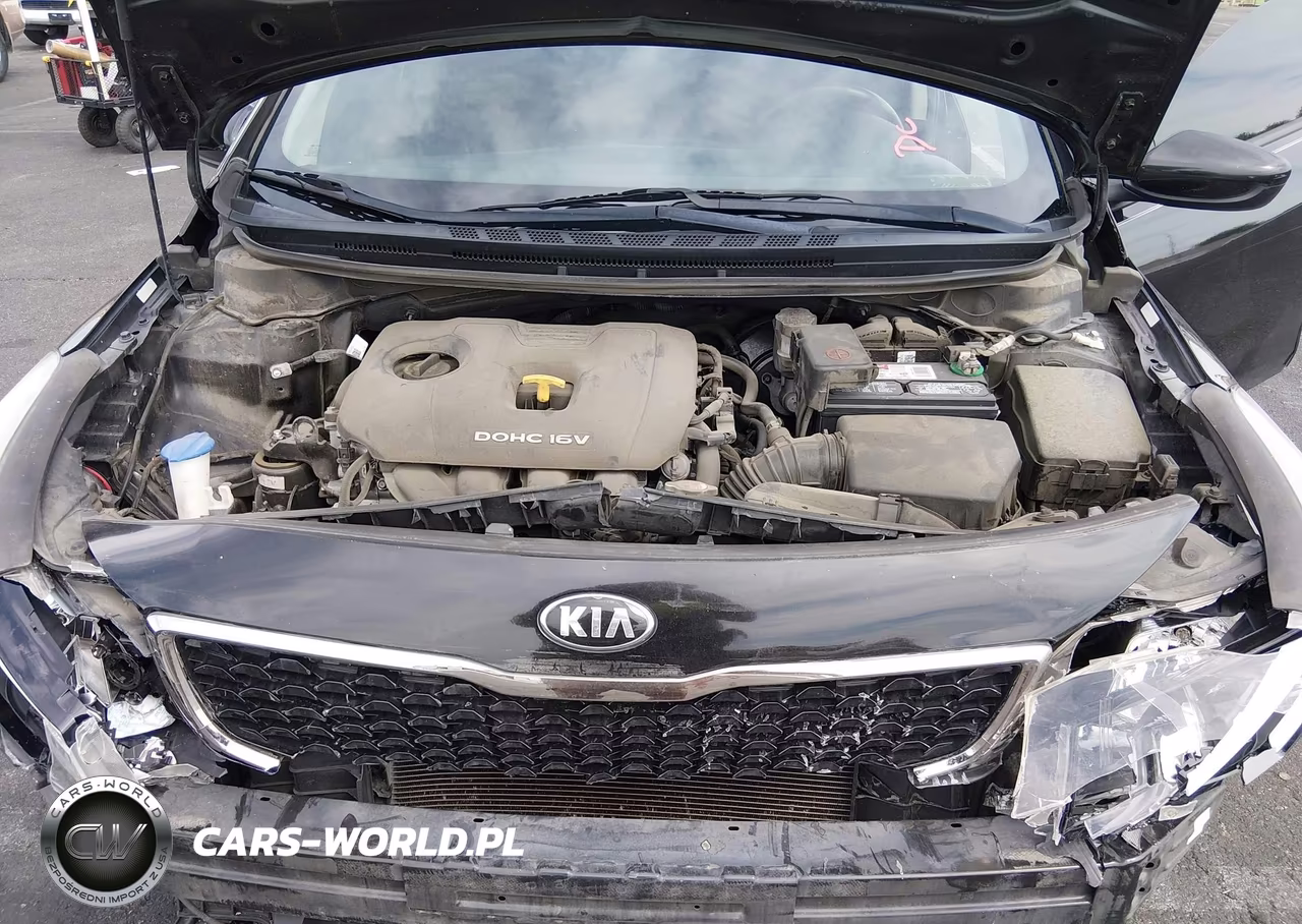 2018 Kia Forte Lx VIN:3KPFK4A77JE166001 - 10