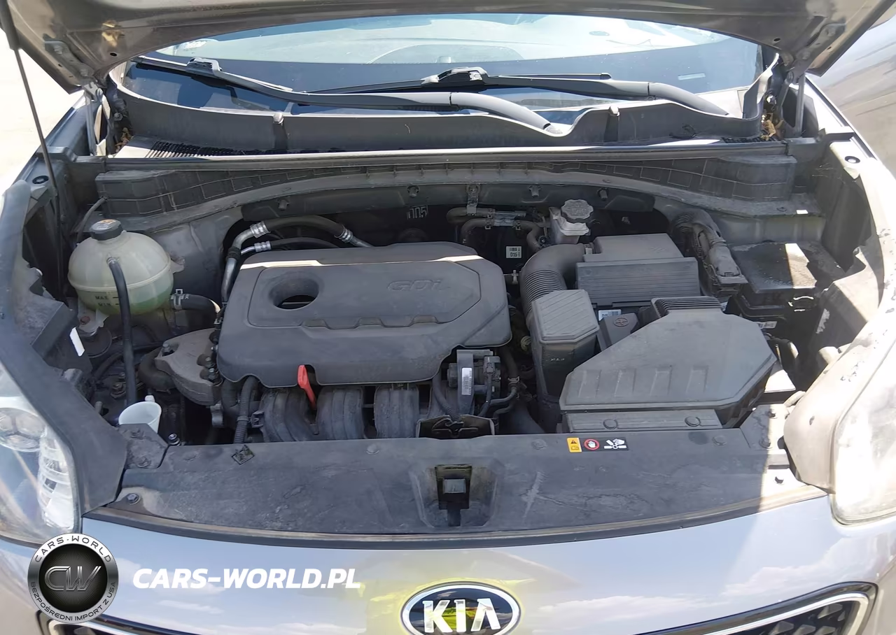 2017 Kia Sportage Lx VIN:KNDPMCAC2H7065335 - 10