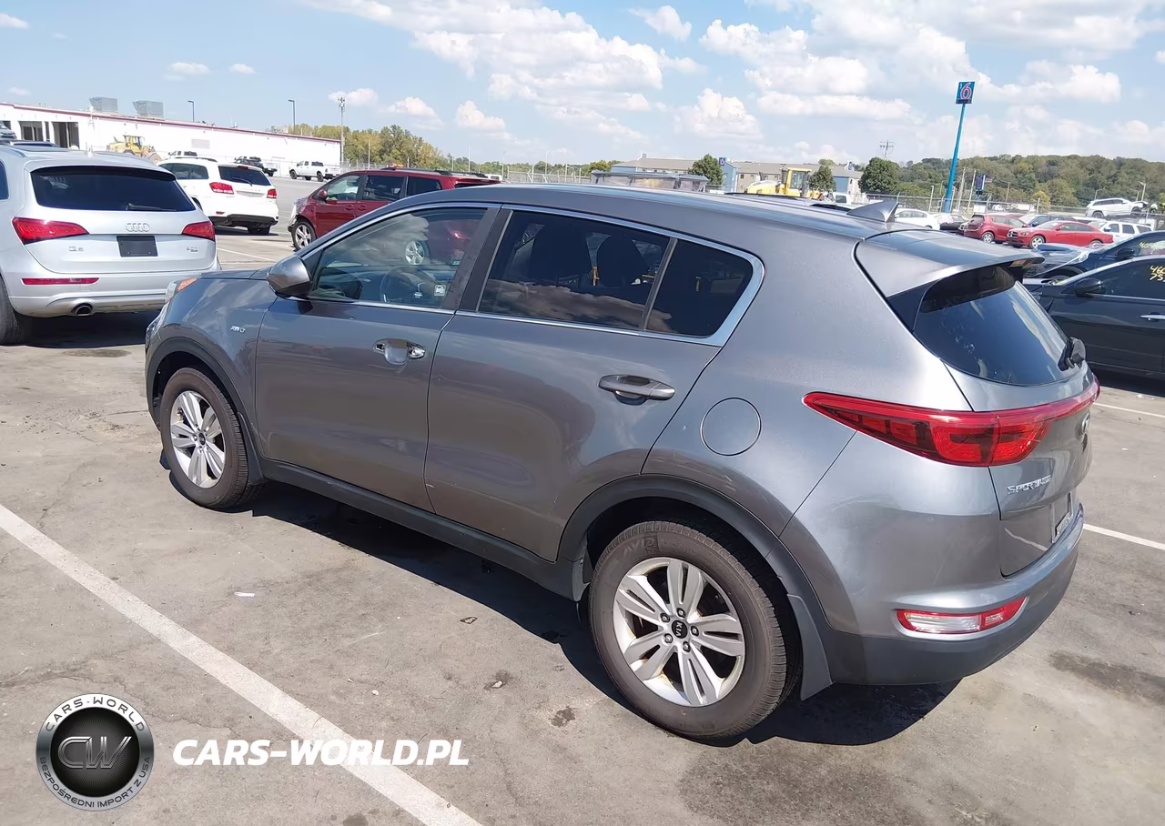 2017 Kia Sportage Lx VIN:KNDPMCAC2H7065335 - 3
