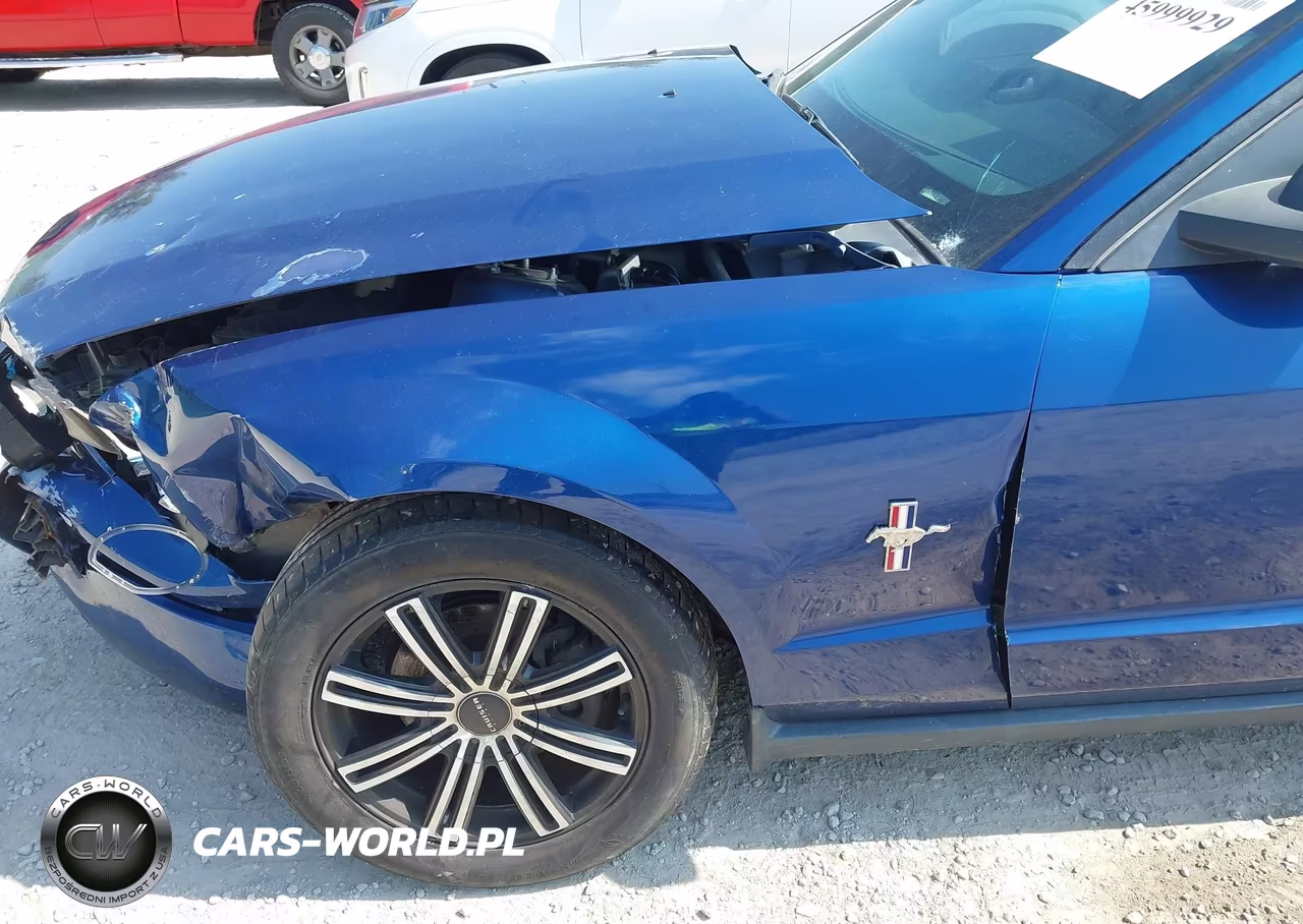 2006 Ford Mustang V6 VIN:1ZVFT80N965127768 - 13