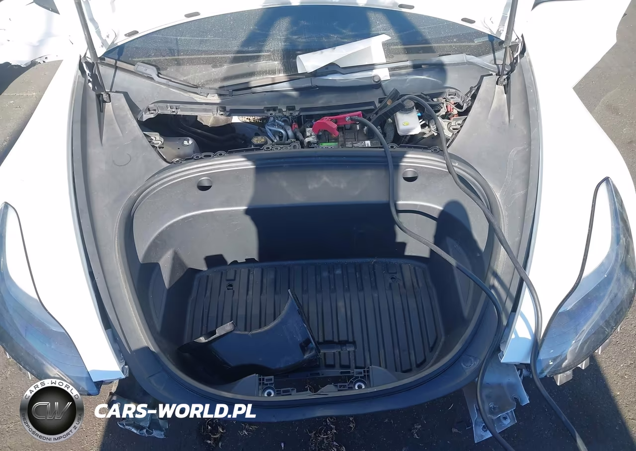 2021 Tesla Model 3 Long Range Dual Motor All-Wheel Drive VIN:5YJ3E1EB4MF879010 - 10