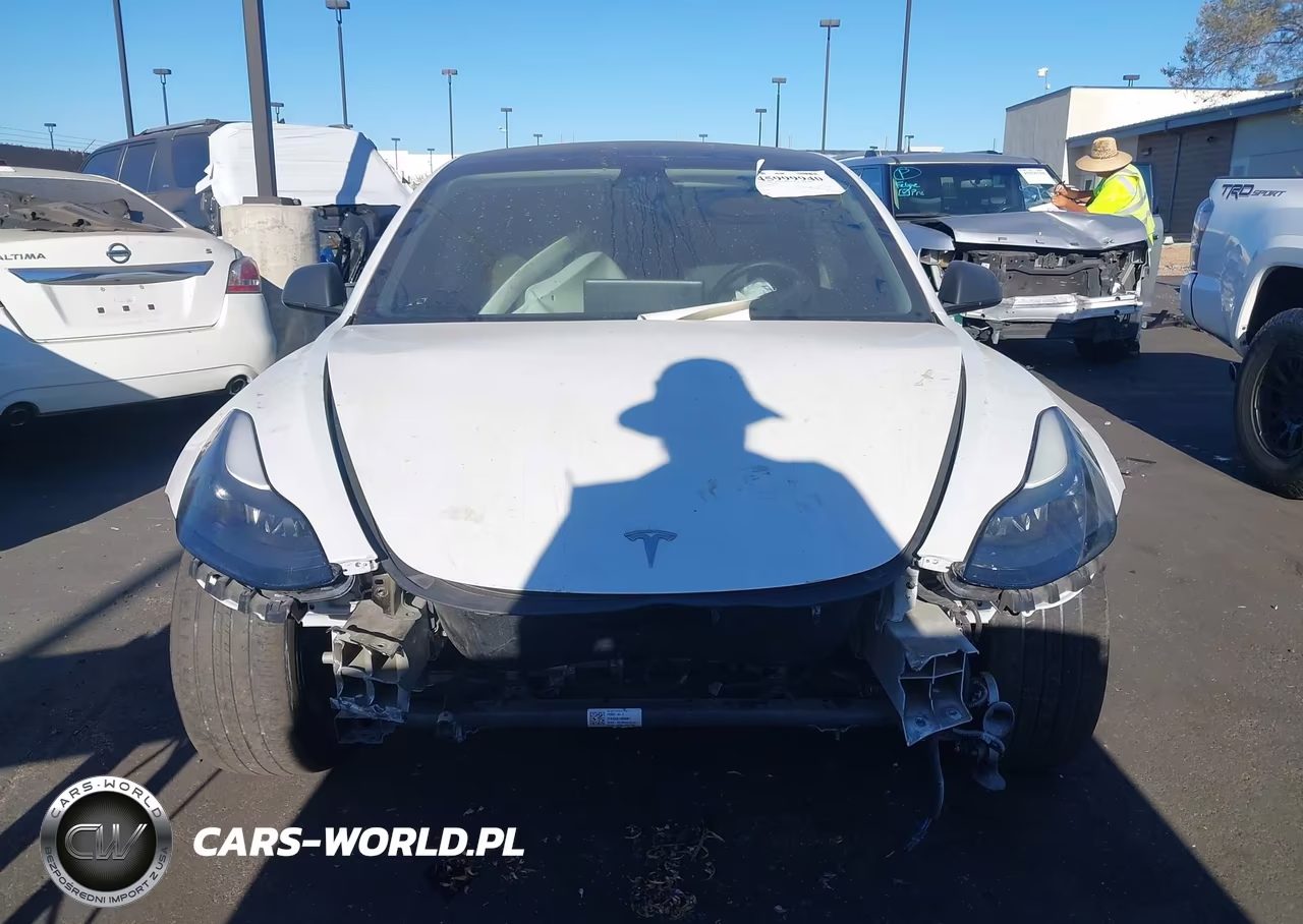 2021 Tesla Model 3 Long Range Dual Motor All-Wheel Drive VIN:5YJ3E1EB4MF879010 - 12