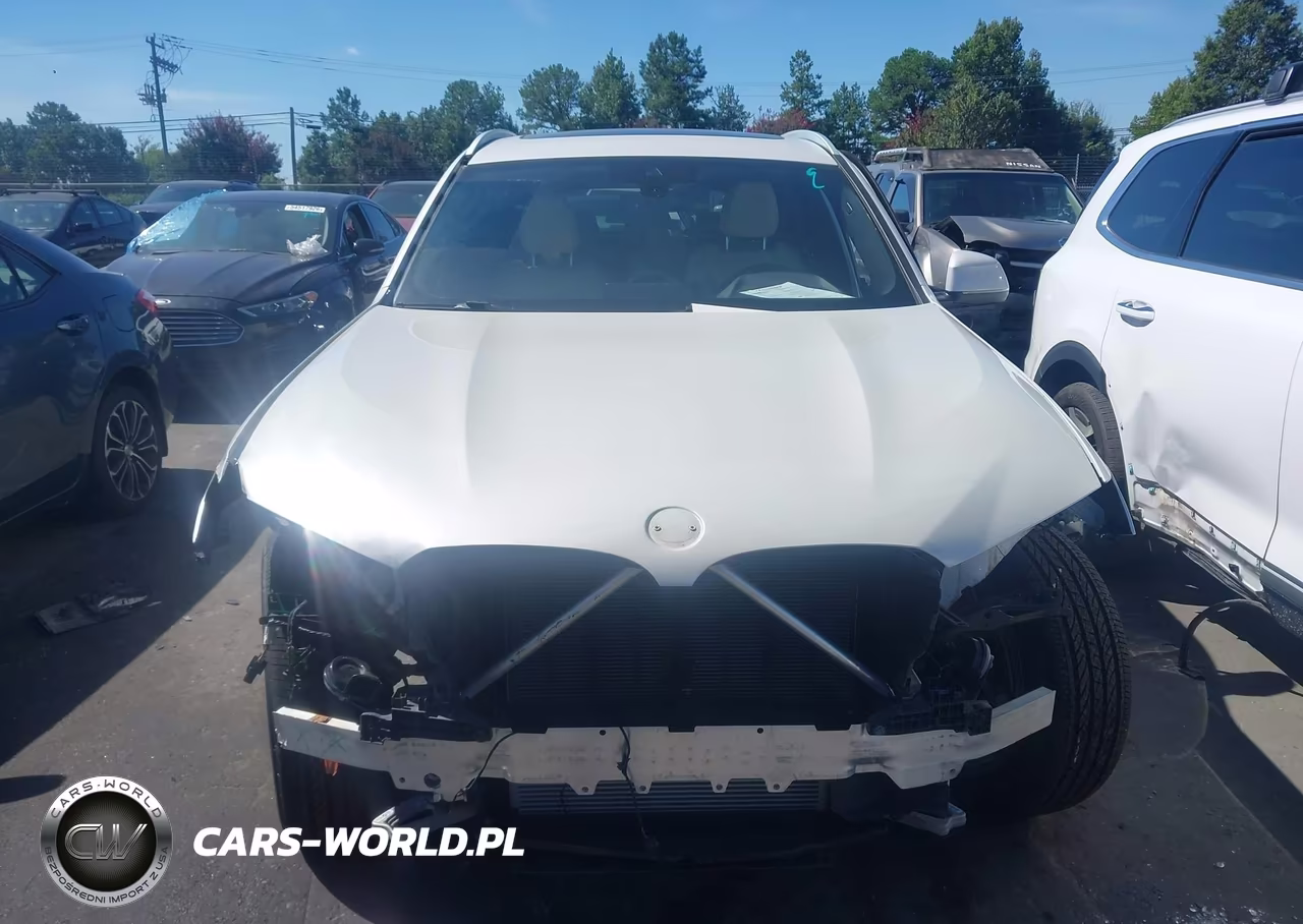 2023 BMW X3 xDrive30I VIN:5UX53DP00P9P05993 - 11