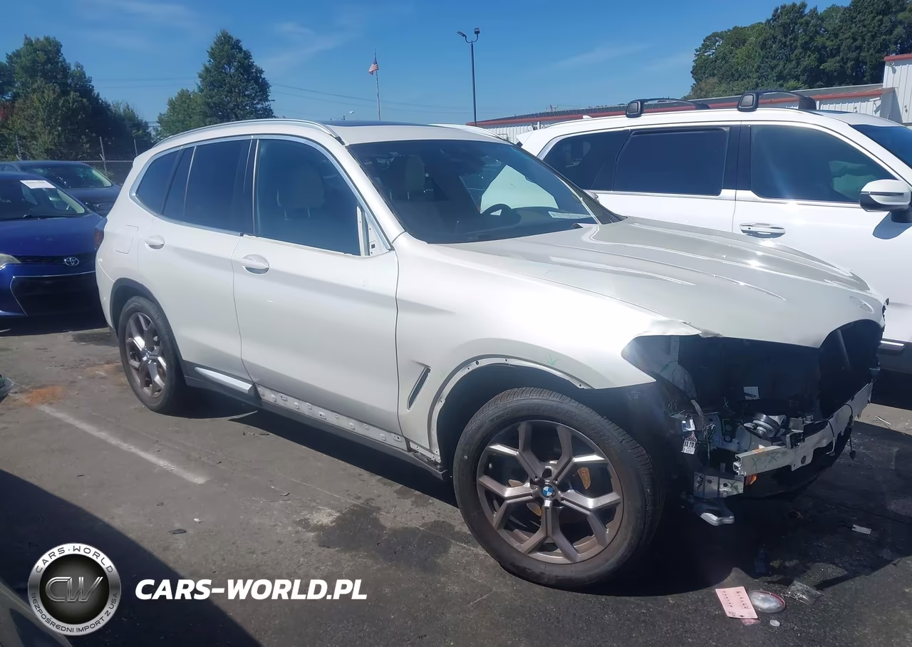 2023 BMW X3 xDrive30I VIN:5UX53DP00P9P05993 - 12