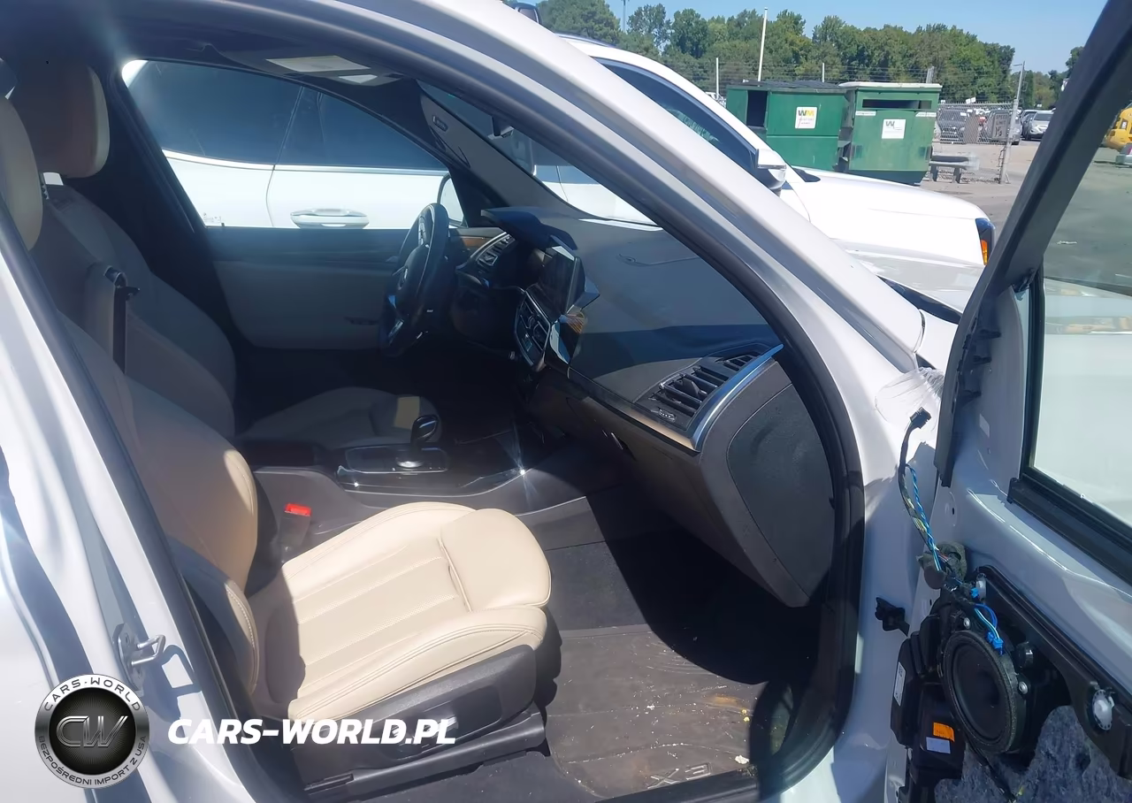 2023 BMW X3 xDrive30I VIN:5UX53DP00P9P05993 - 5