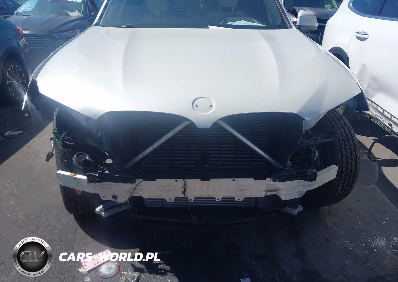 2023 BMW X3 xDrive30I VIN:5UX53DP00P9P05993 - 6