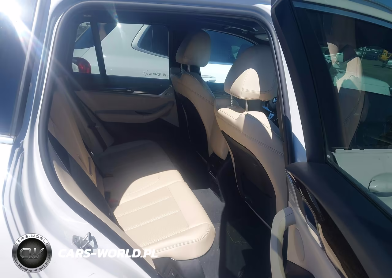 2023 BMW X3 xDrive30I VIN:5UX53DP00P9P05993 - 8