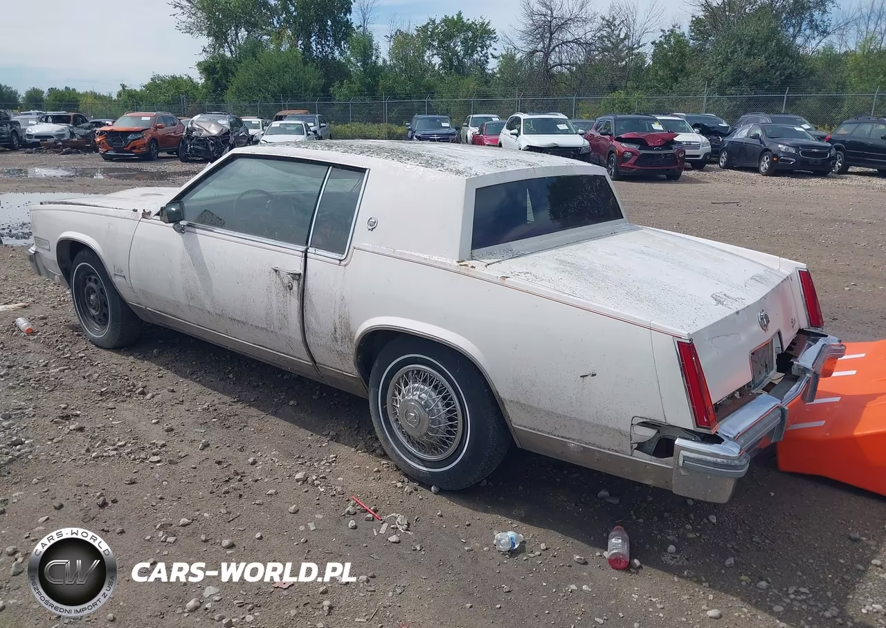 1979 Cadillac Eldorado VIN:6L57B9E621554 - 3
