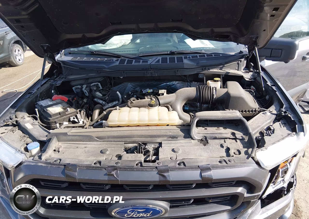 2021 Ford F-150 Xlt VIN:1FTEW1EP1MFB12423 - 10