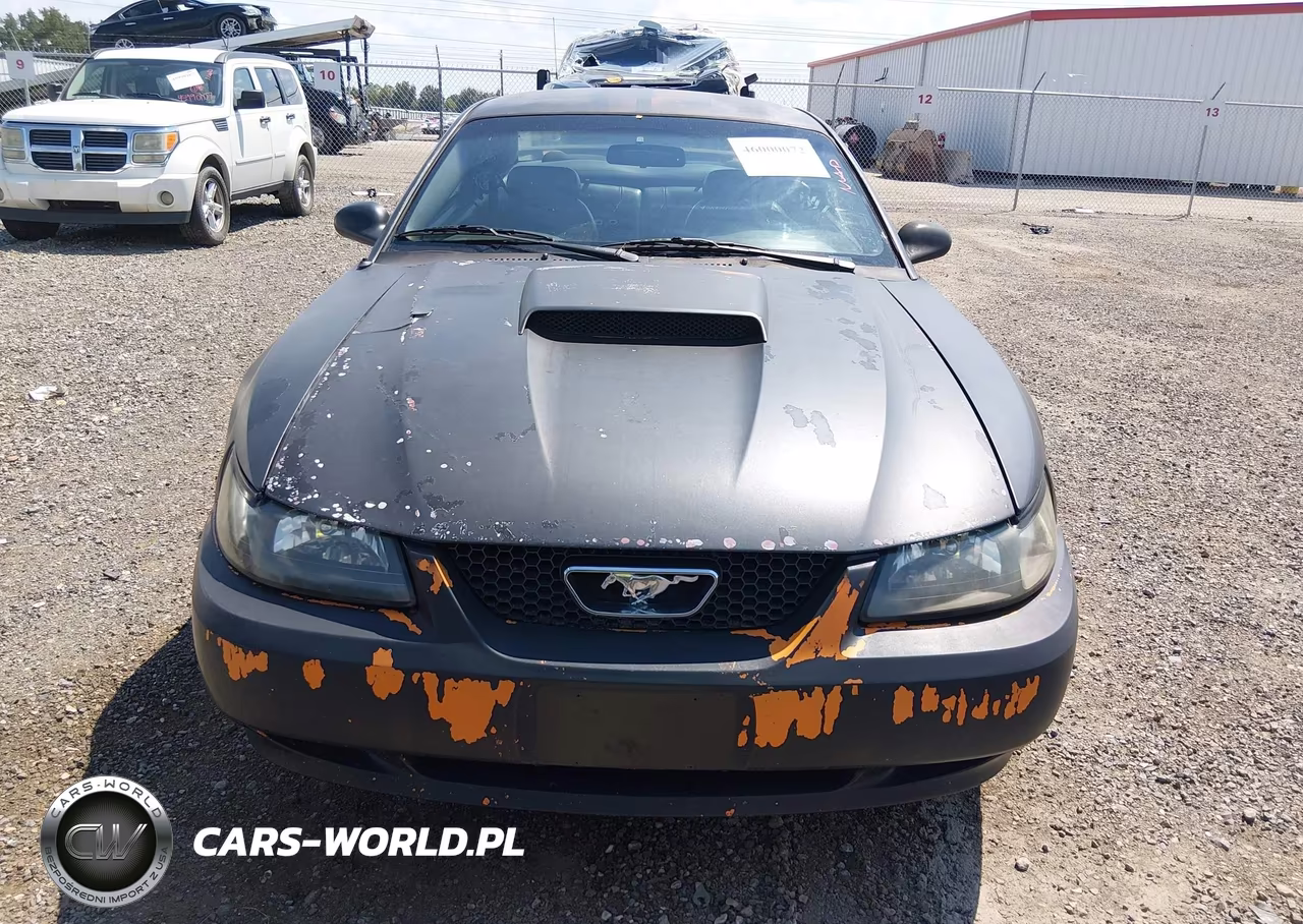 2003 Ford Mustang Gt VIN:1FAFP42X83F321850 - 13