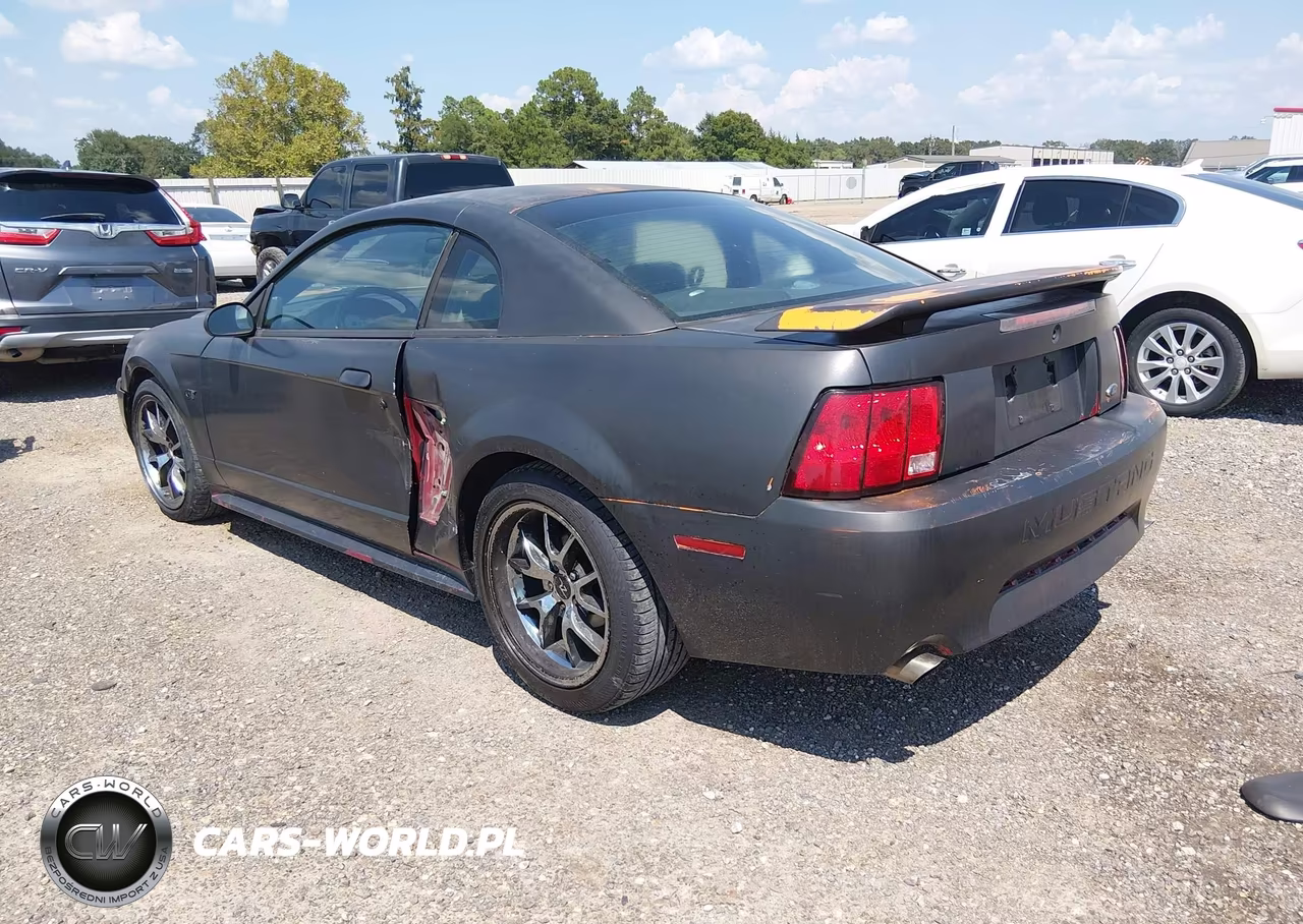 2003 Ford Mustang Gt VIN:1FAFP42X83F321850 - 3