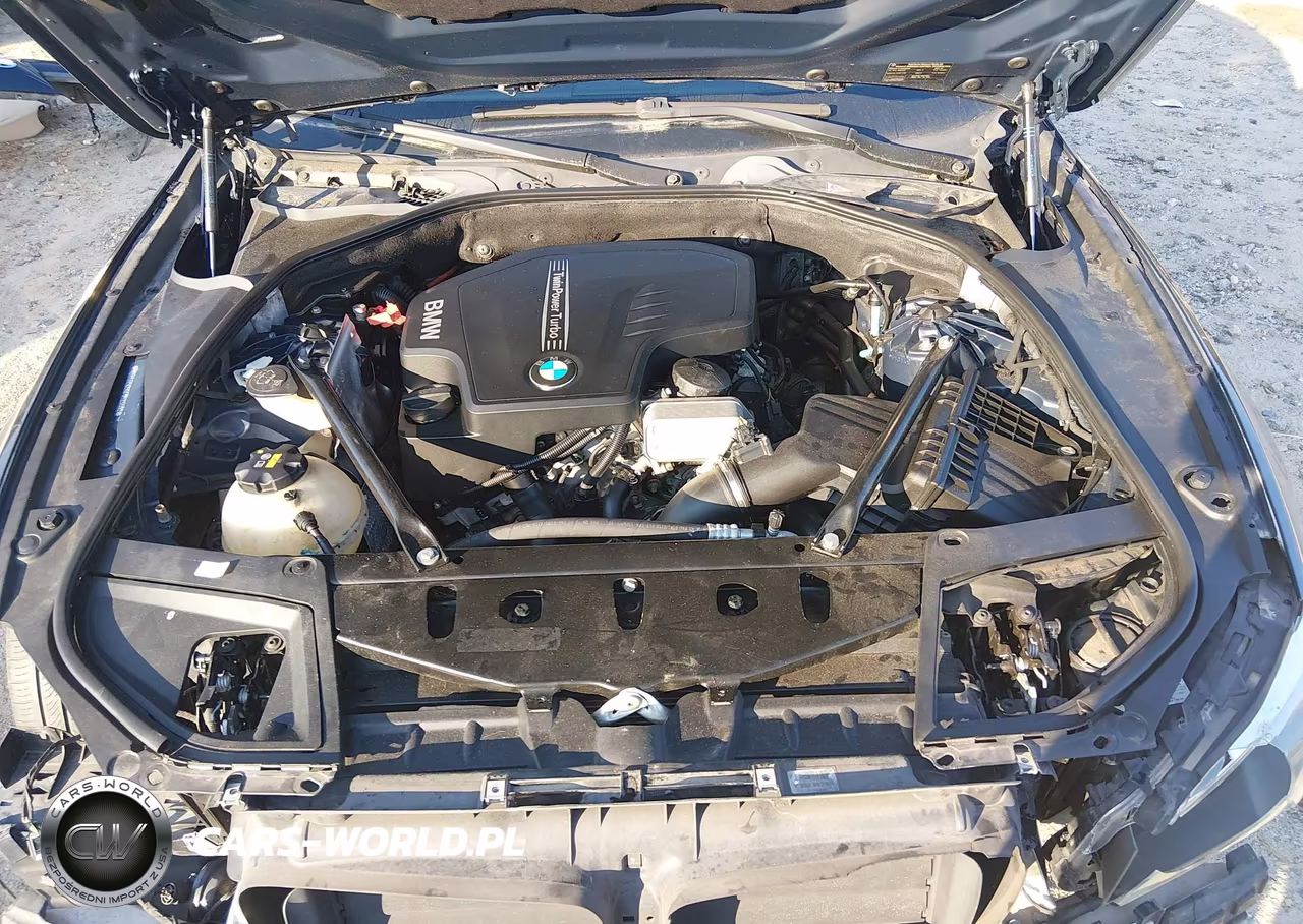 2015 BMW 528I VIN:WBA5A5C56FD523402 - 10