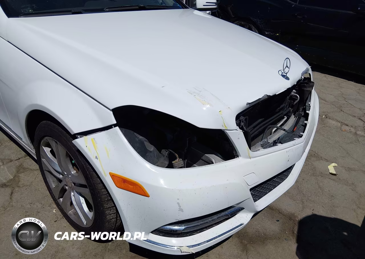 2014 Mercedes-Benz C 250 Luxury VIN:WDDGF4HB5EG254818 - 6