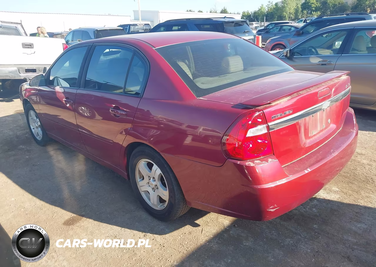 2004 Chevrolet Malibu Lt VIN:1G1ZU54864F203883 - 3
