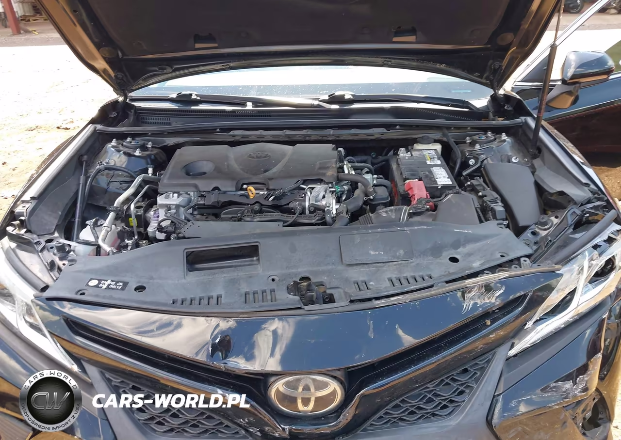 2018 Toyota Camry Se VIN:4T1B11HK1JU629242 - 10