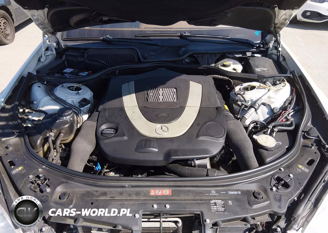 2008 Mercedes-Benz S 550 VIN:WDDNG71X68A218669 - 10