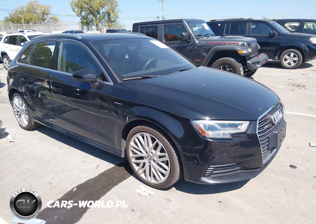 2018 Audi A3 E-Tron 1.4T Premium-1.4T Tech Premium – zdjęcie 1 z 16