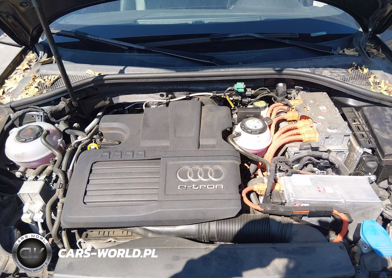 2018 Audi A3 E-Tron 1.4T Premium-1.4T Tech Premium VIN:WAUTPBFF0JA095510 - 10