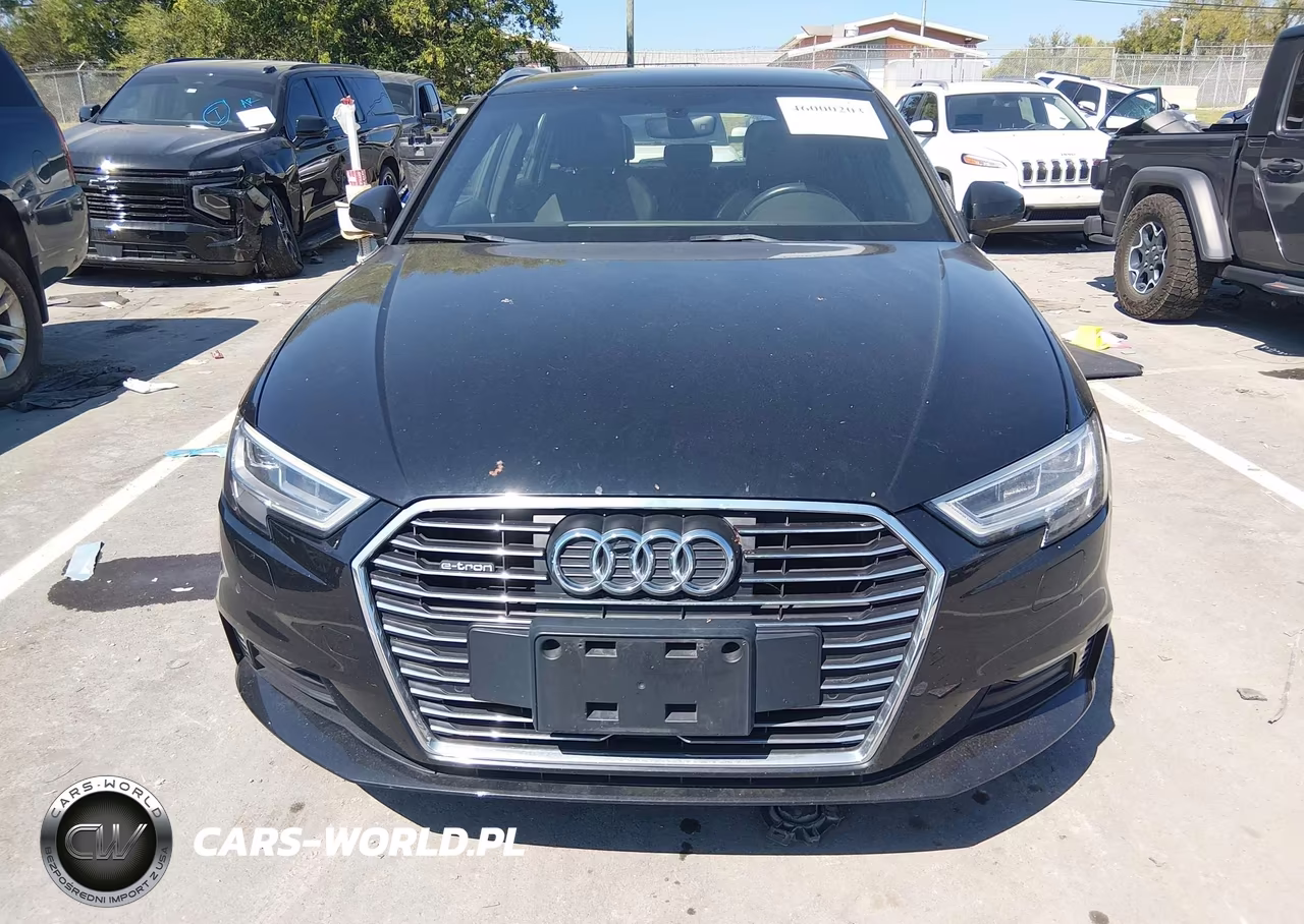 2018 Audi A3 E-Tron 1.4T Premium-1.4T Tech Premium VIN:WAUTPBFF0JA095510 - 12
