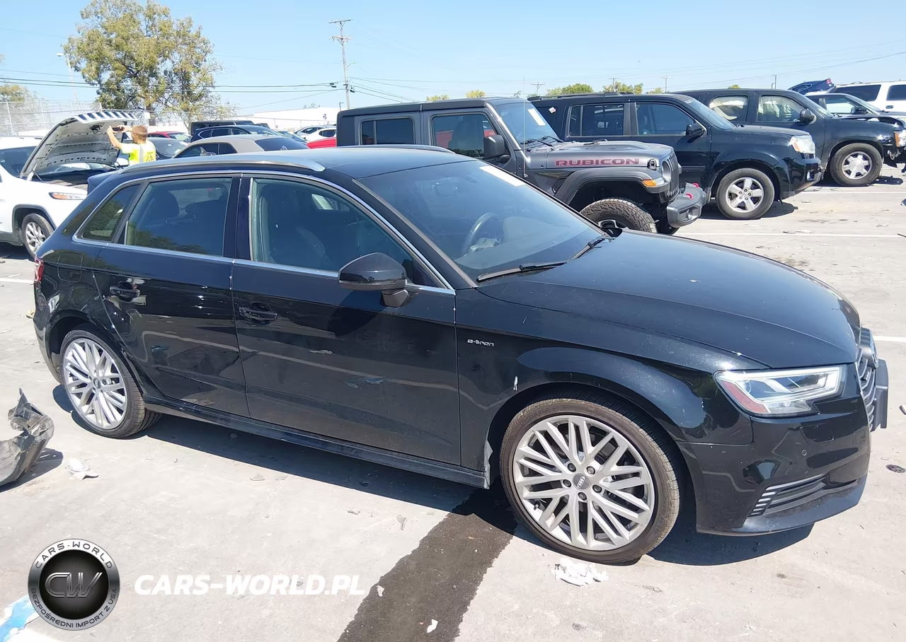 2018 Audi A3 E-Tron 1.4T Premium-1.4T Tech Premium VIN:WAUTPBFF0JA095510 - 13