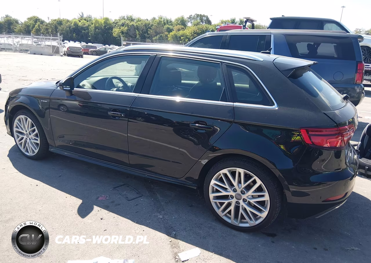 2018 Audi A3 E-Tron 1.4T Premium-1.4T Tech Premium VIN:WAUTPBFF0JA095510 - 14