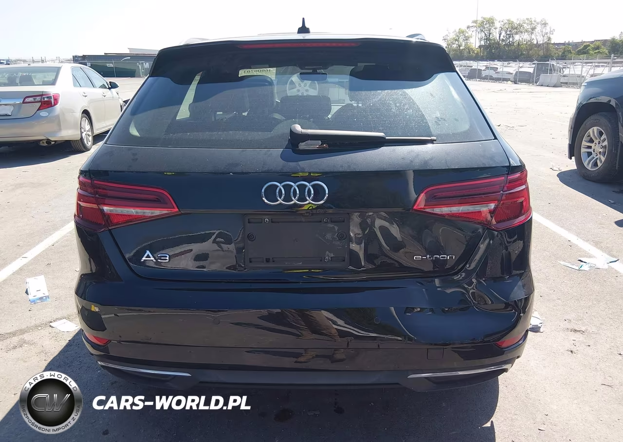 2018 Audi A3 E-Tron 1.4T Premium-1.4T Tech Premium VIN:WAUTPBFF0JA095510 - 16