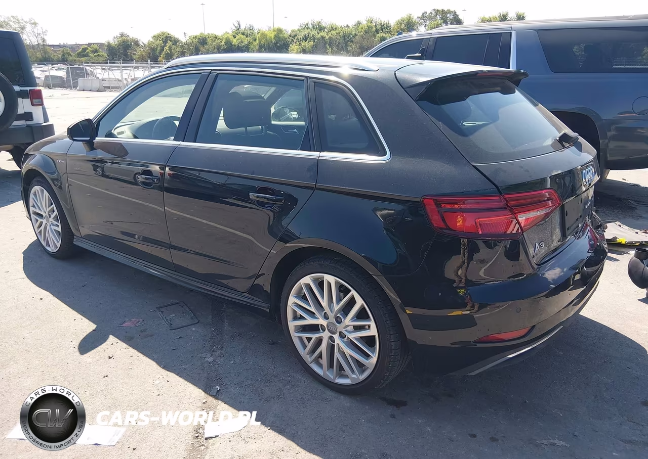 2018 Audi A3 E-Tron 1.4T Premium-1.4T Tech Premium VIN:WAUTPBFF0JA095510 - 3