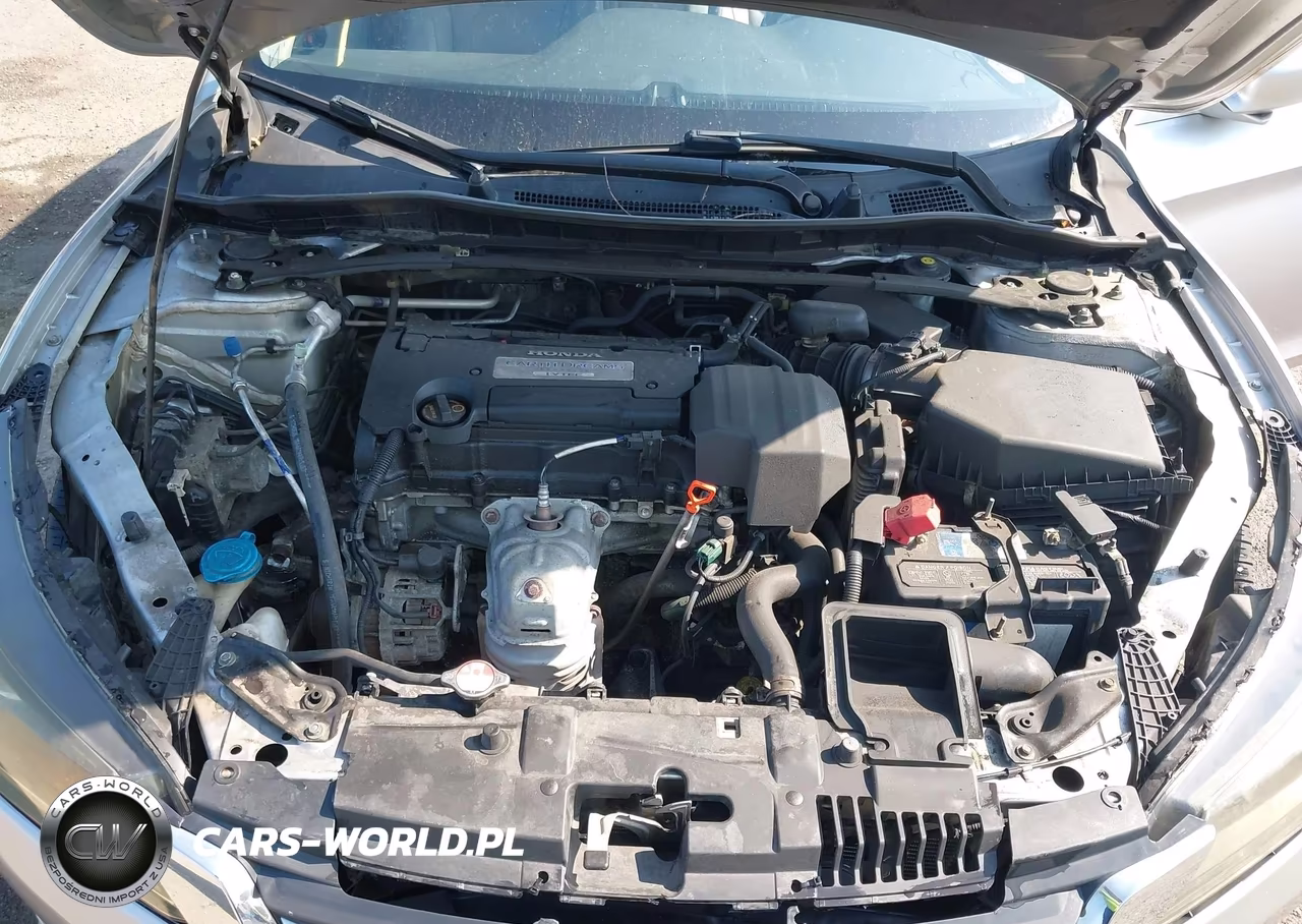 2013 Honda Accord Ex-L VIN:1HGCR2F84DA091058 - 10
