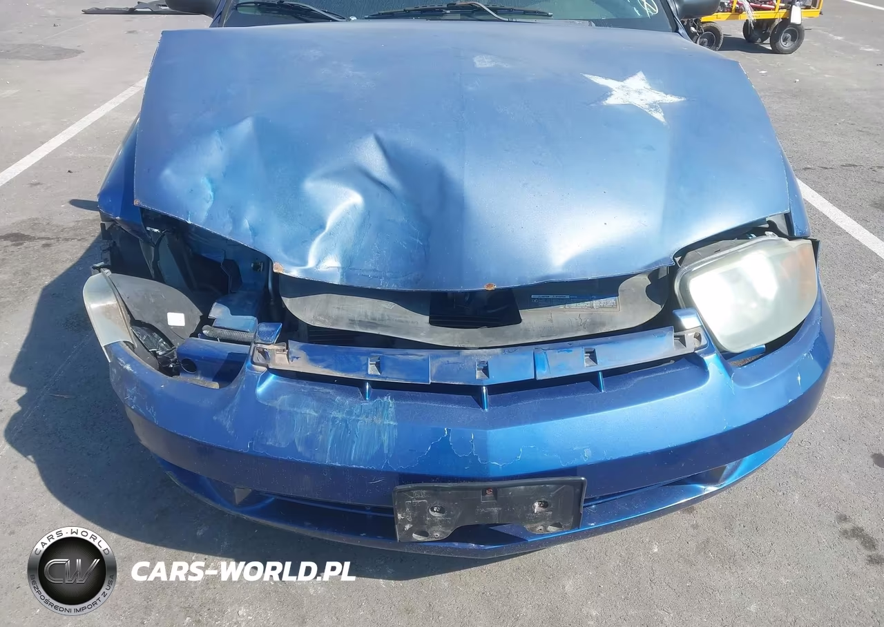 2004 Chevrolet Cavalier VIN:1G1JC52F547335822 - 4
