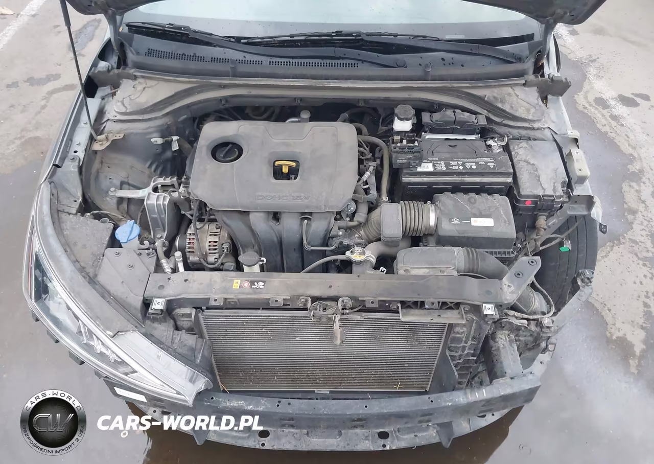 2019 Hyundai Elantra Sel-Value-Limited VIN:5NPD84LF4KH458521 - 10
