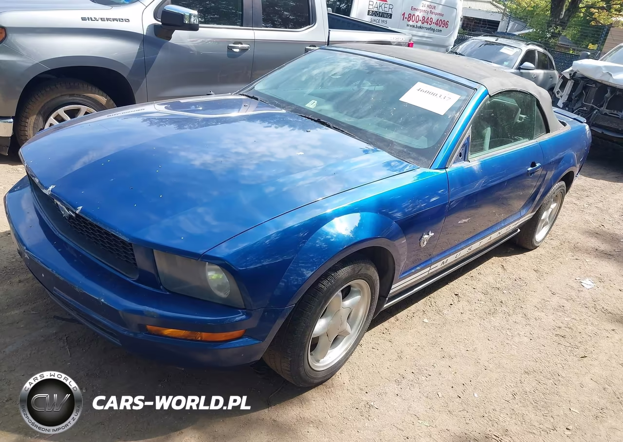 2009 Ford Mustang V6 VIN:1ZVHT84N095131053 - 2