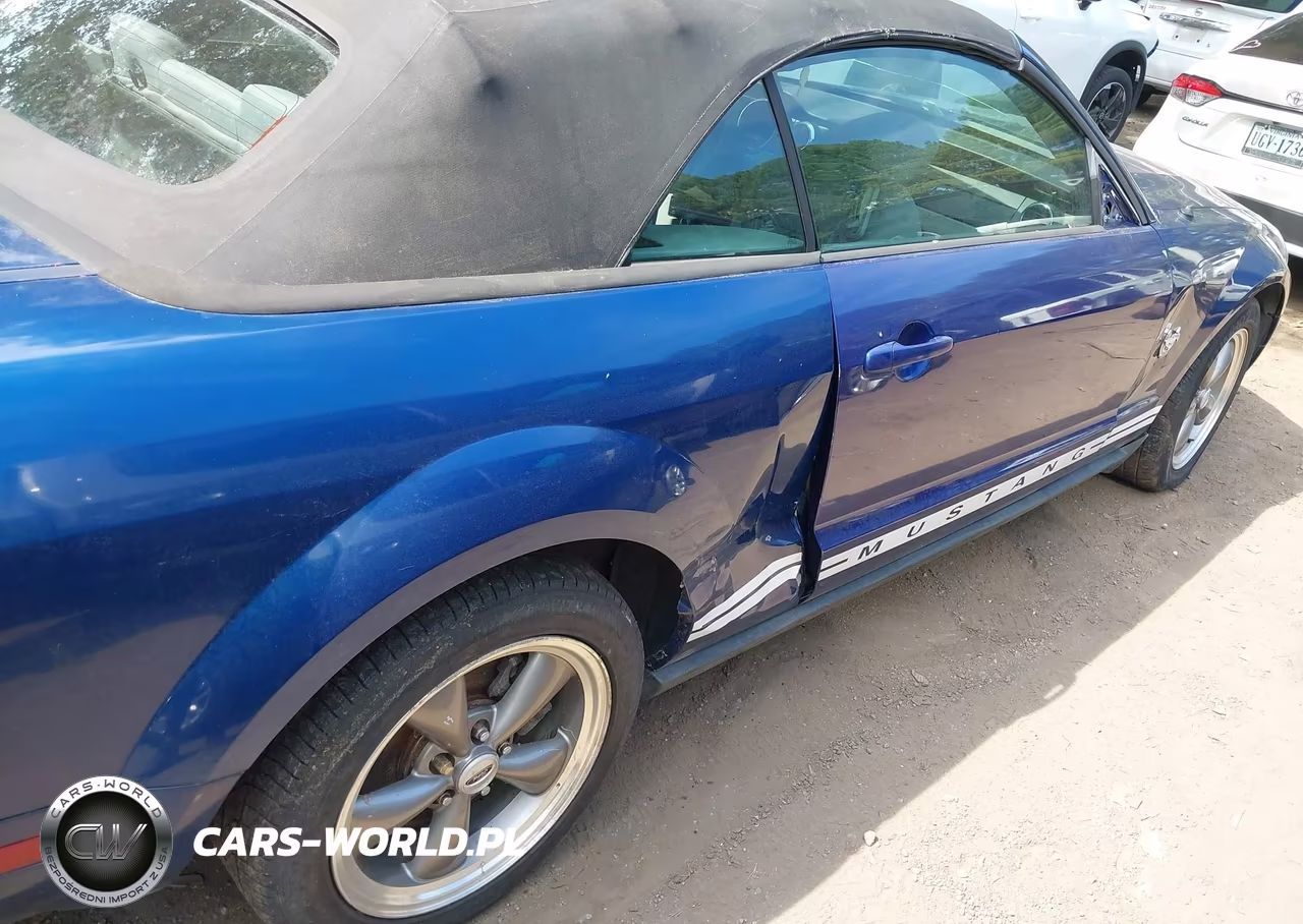 2009 Ford Mustang V6 VIN:1ZVHT84N095131053 - 6