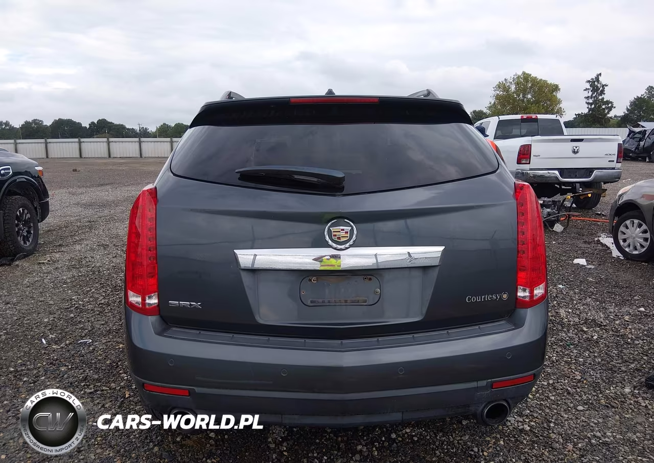 2010 Cadillac Srx Luxury Collection VIN:3GYFNAEY5AS512020 - 17