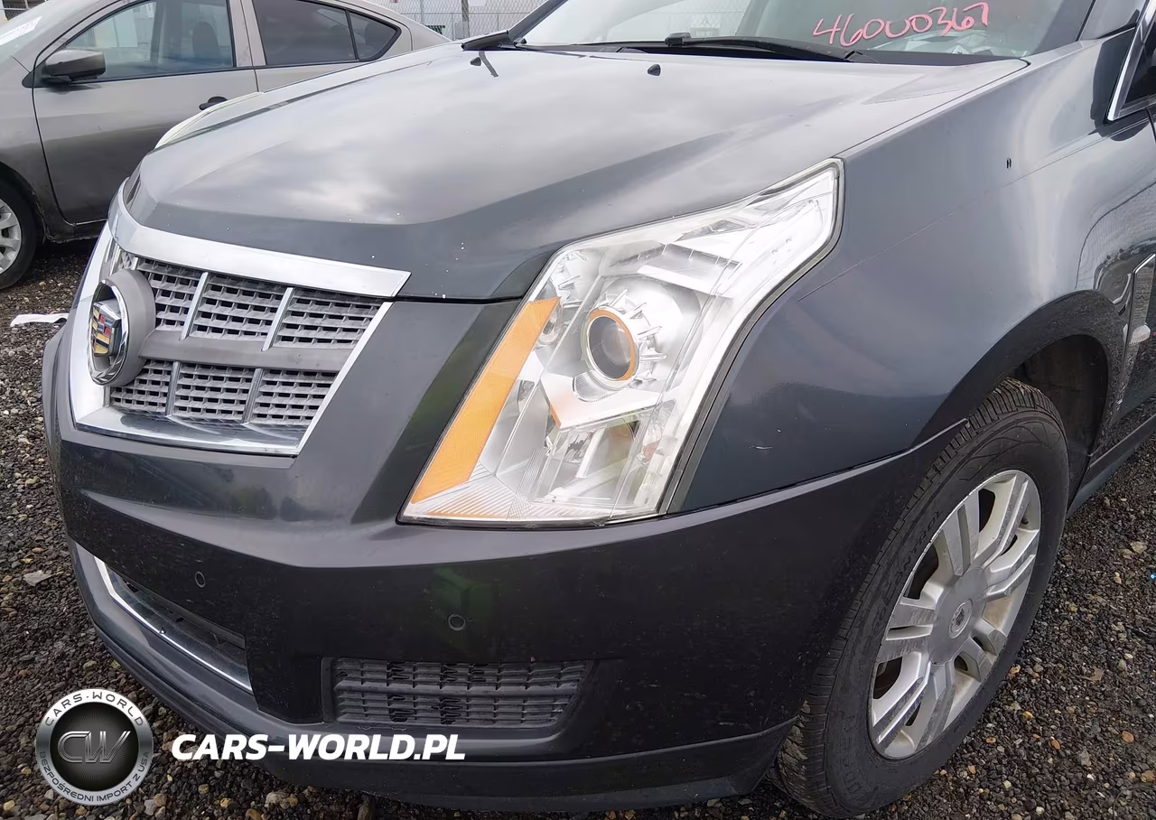 2010 Cadillac Srx Luxury Collection VIN:3GYFNAEY5AS512020 - 6