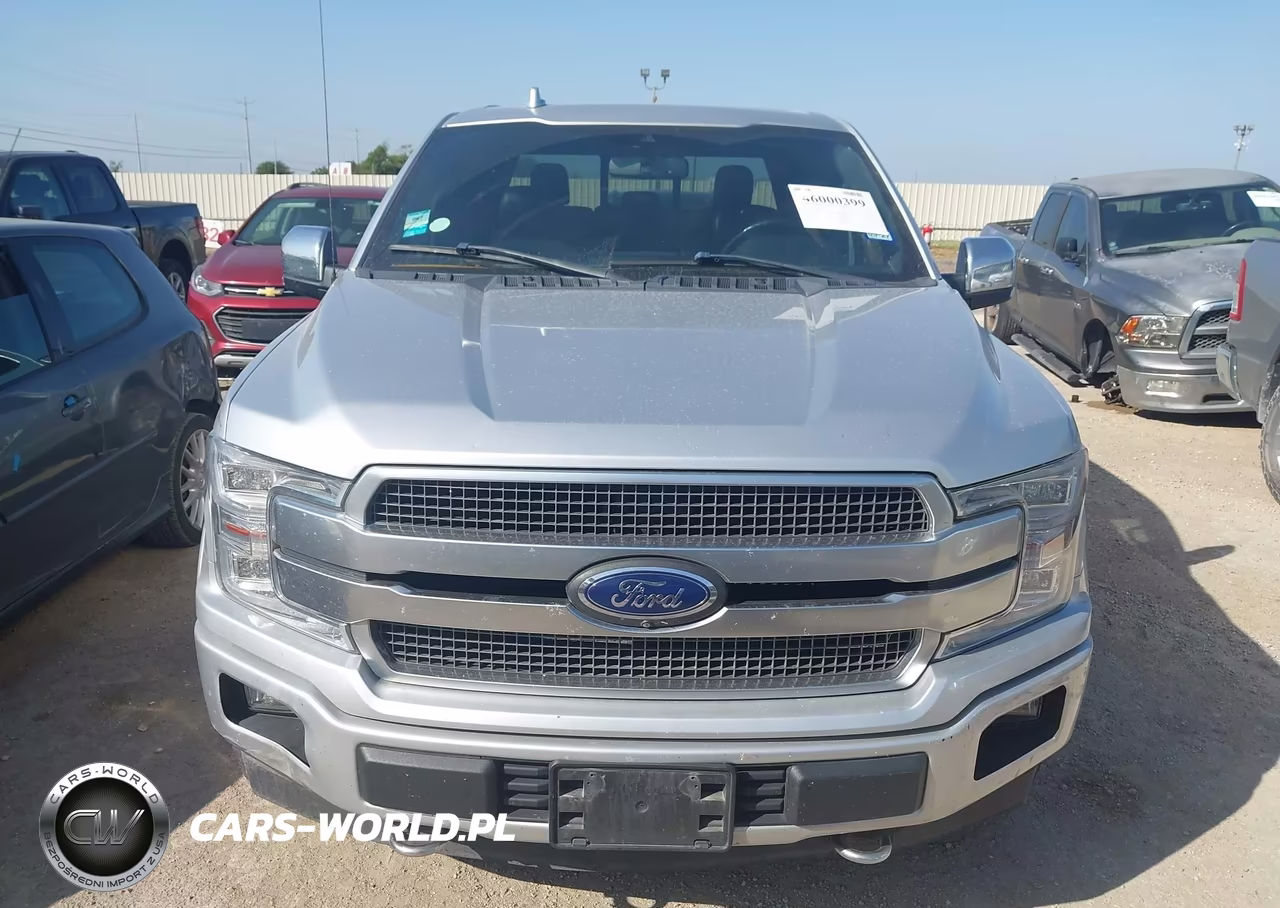 2018 Ford F-150 Platinum VIN:1FTEW1E59JFE46502 - 12