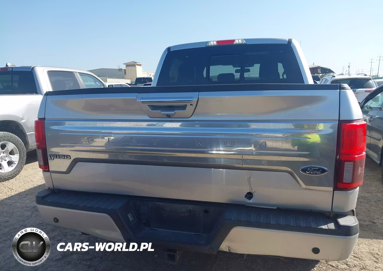 2018 Ford F-150 Platinum VIN:1FTEW1E59JFE46502 - 16