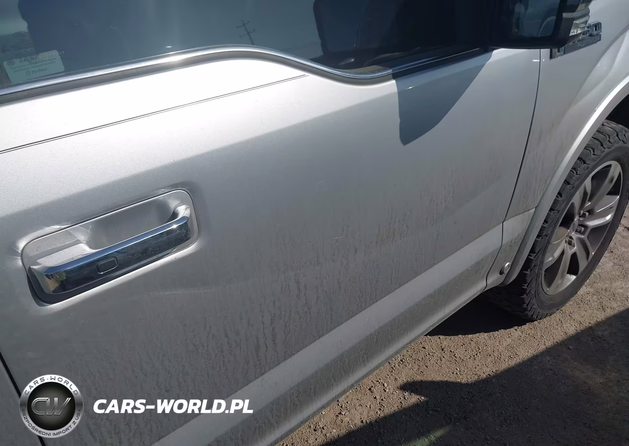 2018 Ford F-150 Platinum VIN:1FTEW1E59JFE46502 - 17