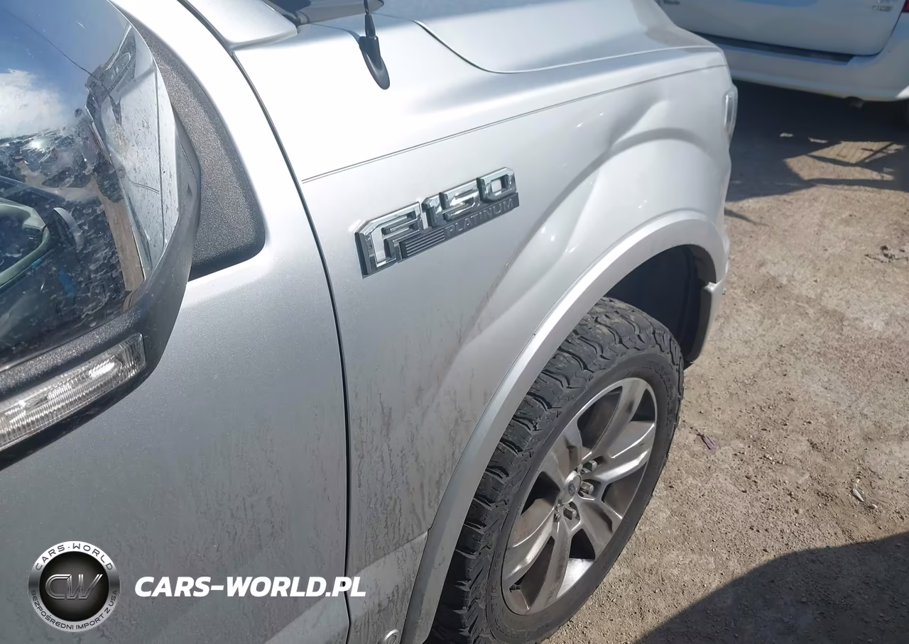 2018 Ford F-150 Platinum VIN:1FTEW1E59JFE46502 - 18
