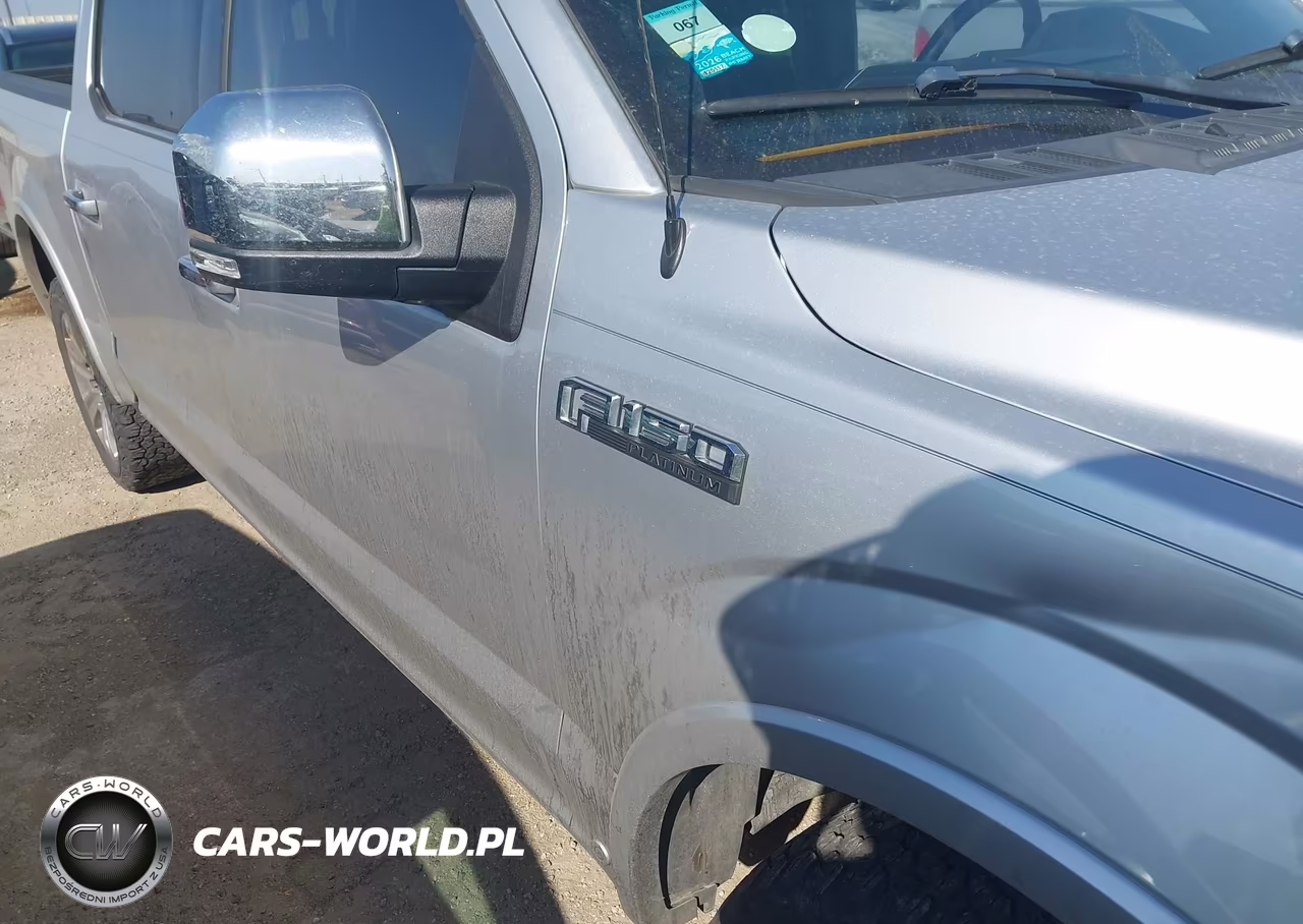2018 Ford F-150 Platinum VIN:1FTEW1E59JFE46502 - 19