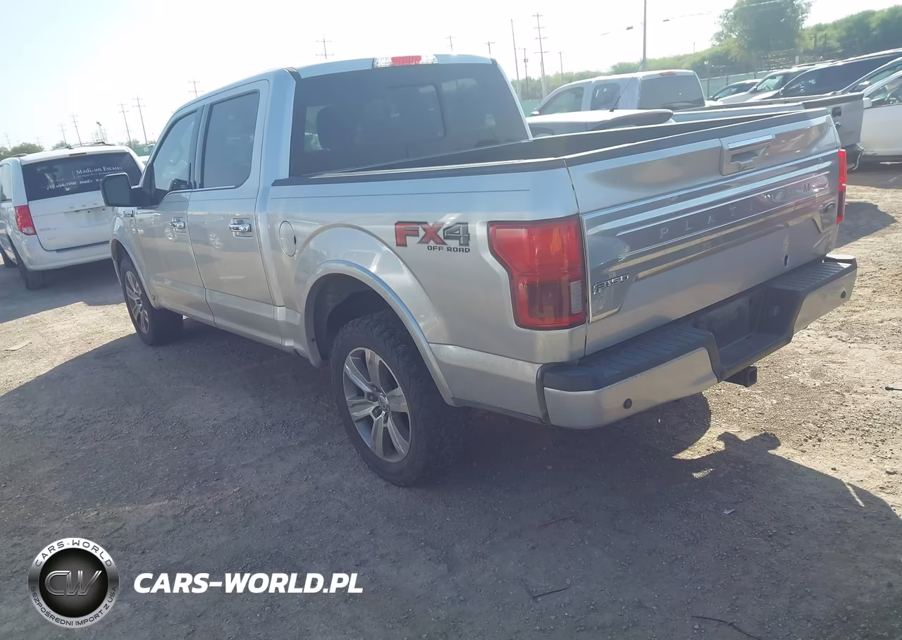 2018 Ford F-150 Platinum VIN:1FTEW1E59JFE46502 - 3