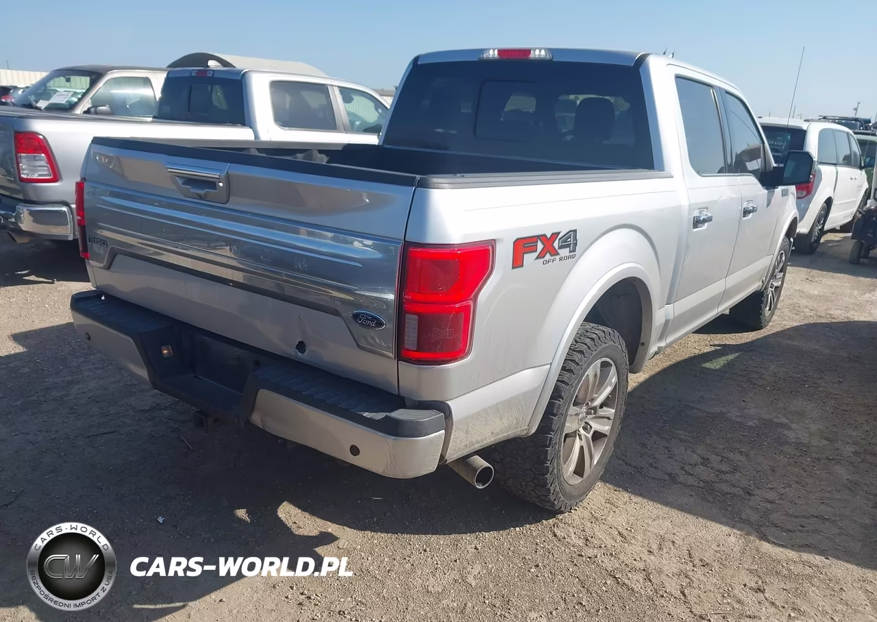 2018 Ford F-150 Platinum VIN:1FTEW1E59JFE46502 - 4