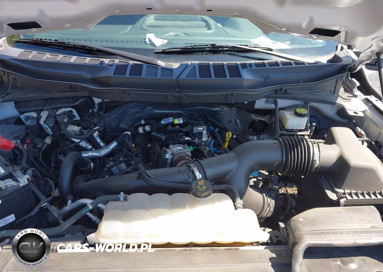 2021 Ford F-150 Xl VIN:1FTEW1EP0MFA30697 - 10