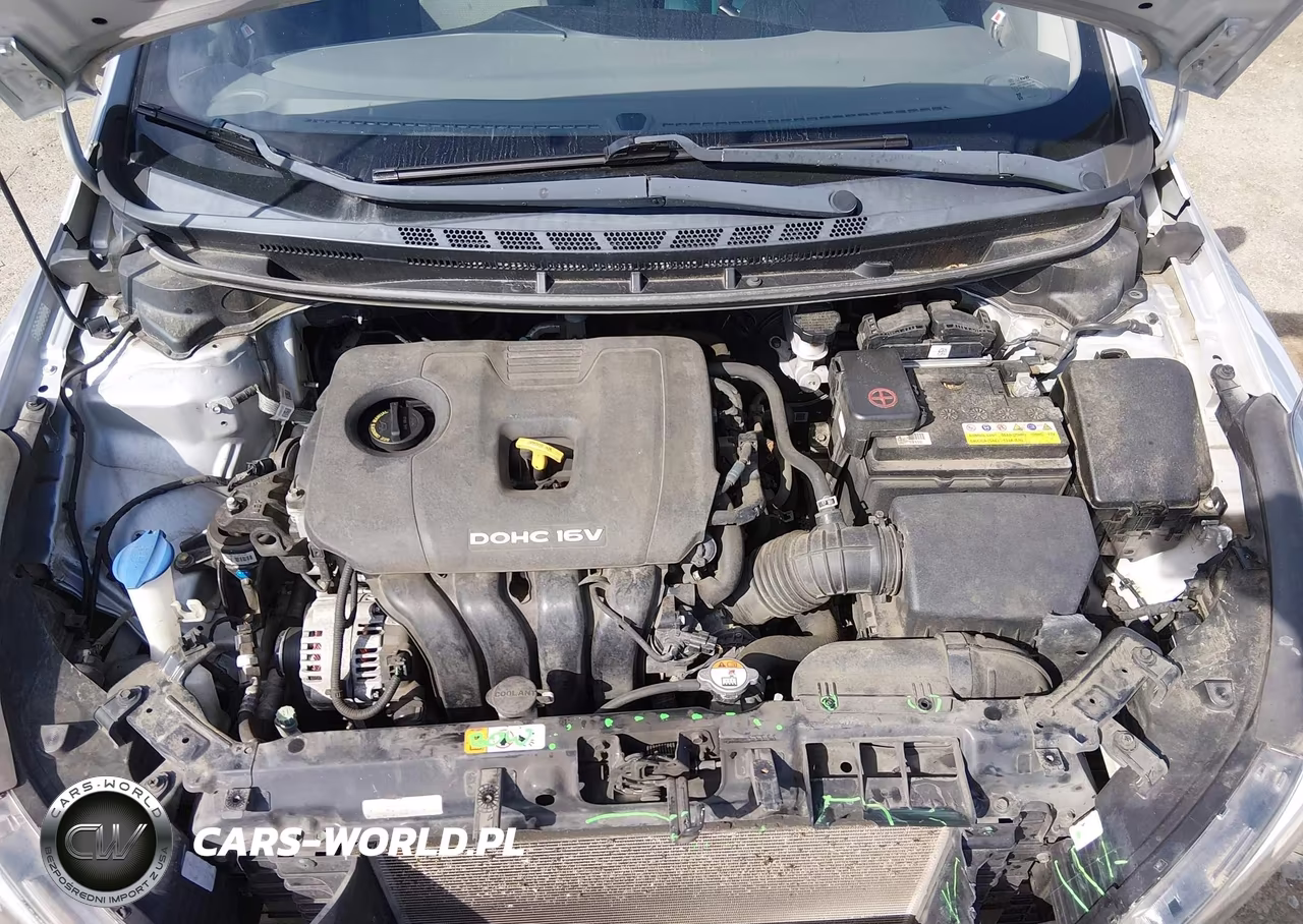 2017 Kia Forte Lx VIN:3KPFK4A74HE029639 - 10