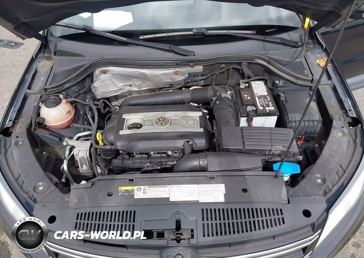 2017 Volkswagen Tiguan 2.0T-2.0T S VIN:WVGBV7AX3HK051924 - 10