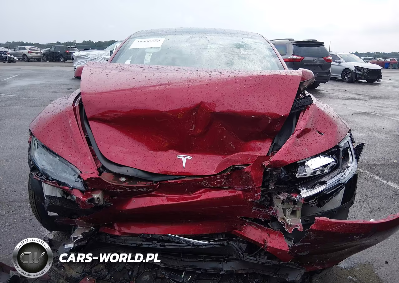 2025 Tesla Model 3 Long Range Rear-Wheel Drive-Standard Rear-Wheel Drive VIN:5YJ3E1EA1SF984947 - 11