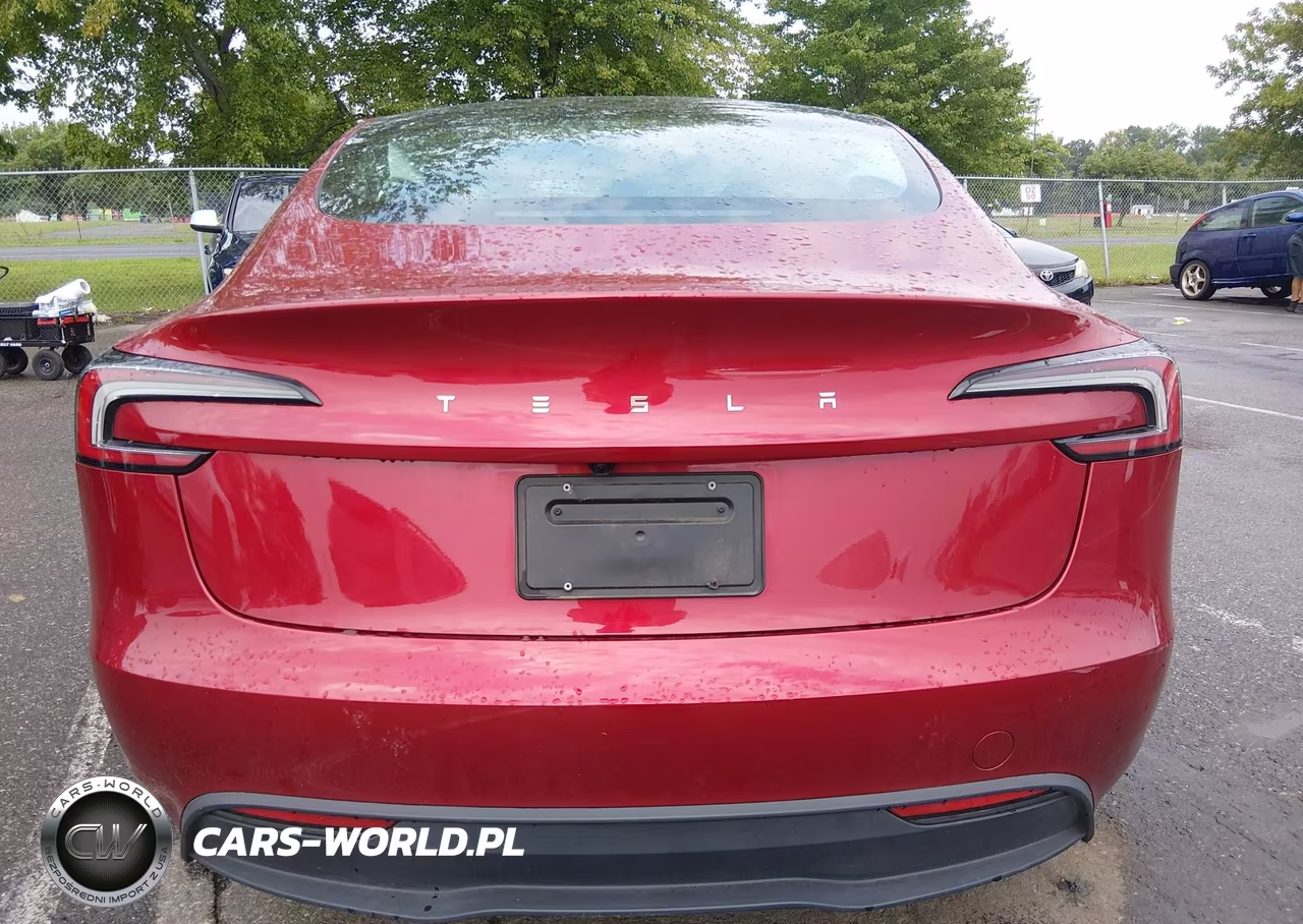 2025 Tesla Model 3 Long Range Rear-Wheel Drive-Standard Rear-Wheel Drive VIN:5YJ3E1EA1SF984947 - 15