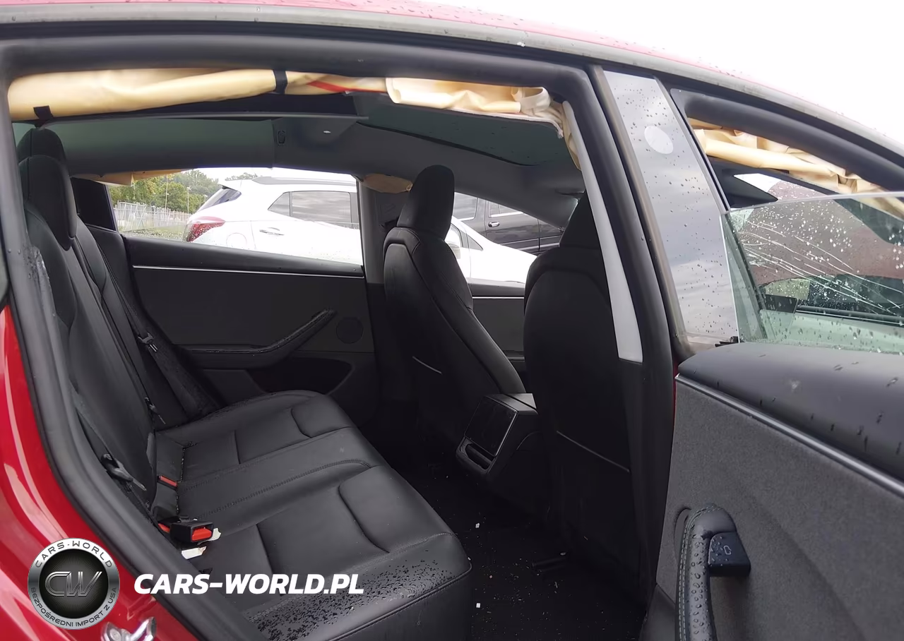 2025 Tesla Model 3 Long Range Rear-Wheel Drive-Standard Rear-Wheel Drive VIN:5YJ3E1EA1SF984947 - 8
